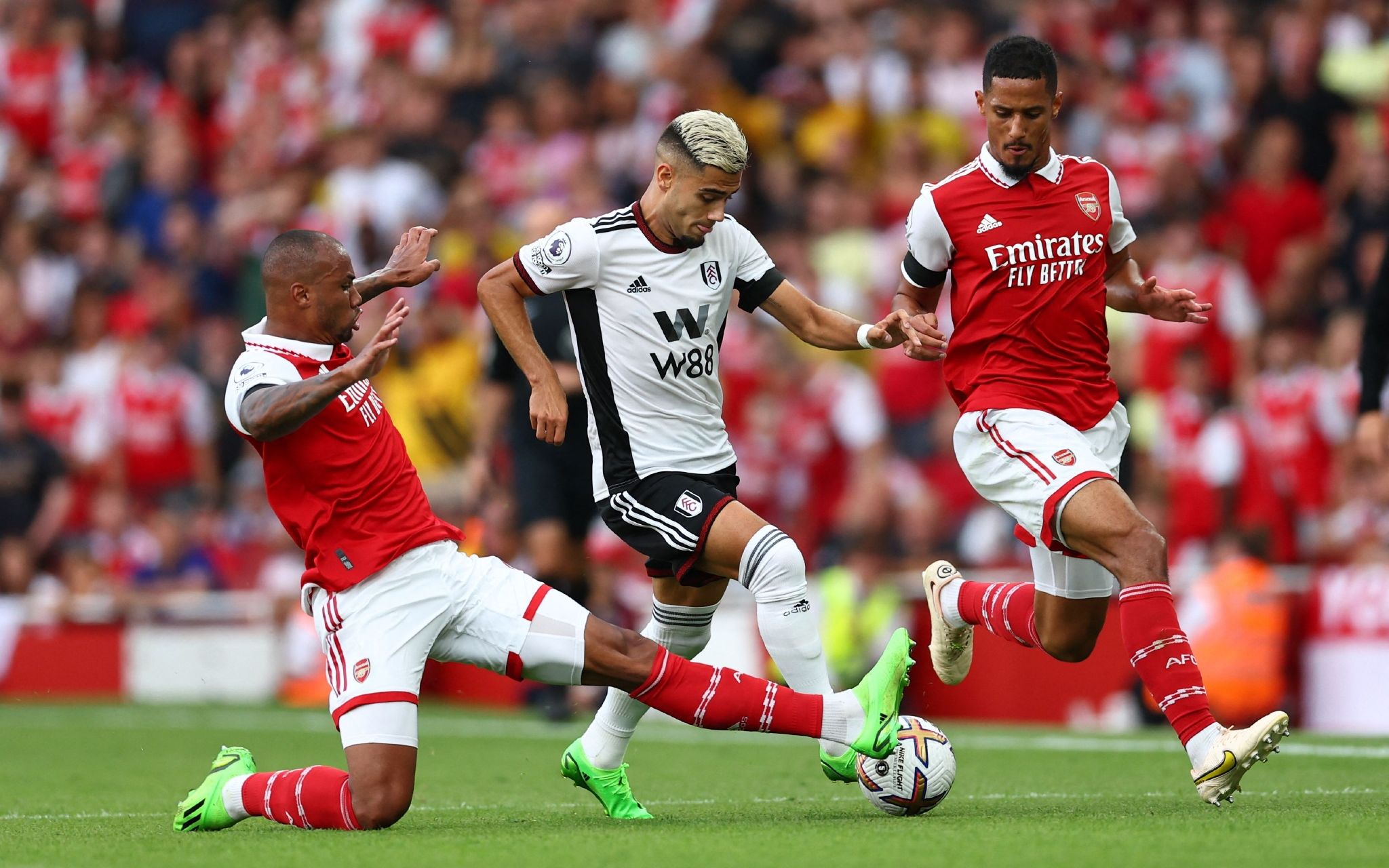 对他的未来 对他的未来